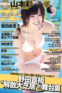 火线三兄弟演员表